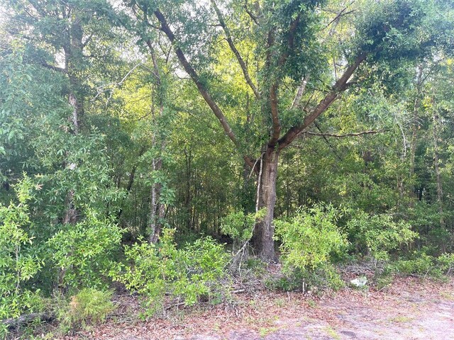0000 NE 56th St, High Springs, FL 32643 - photo 18