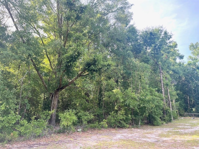 0000 NE 56th St, High Springs, FL 32643 - photo 19