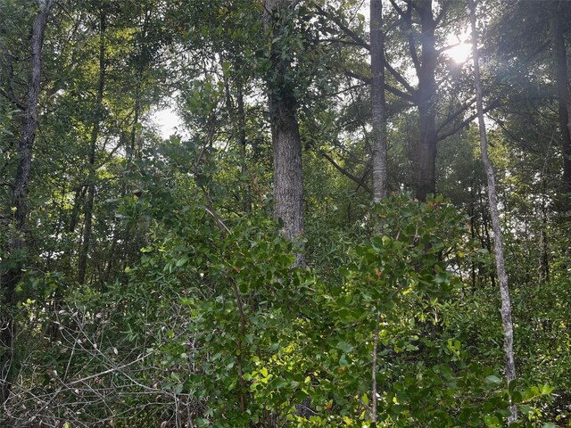 0000 NE 56th St, High Springs, FL 32643 - photo 20