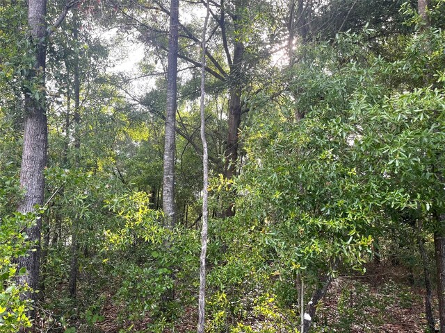 0000 NE 56th St, High Springs, FL 32643 - photo 21