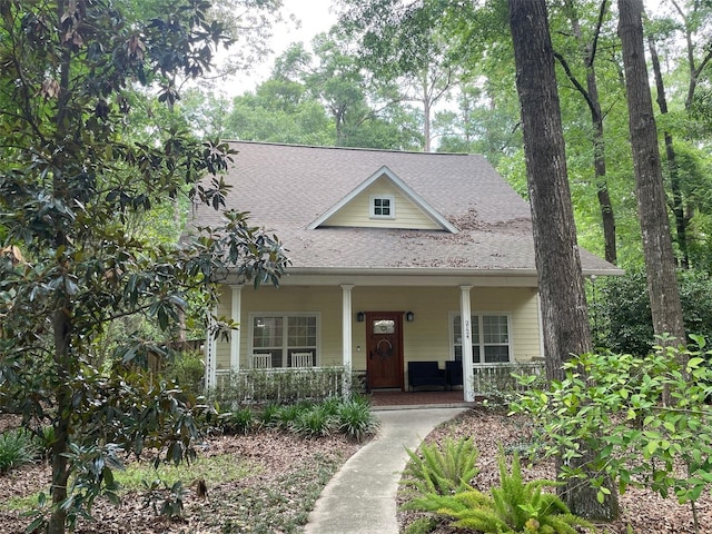 2124 SW 36th Ct, Gainesville, FL 32608