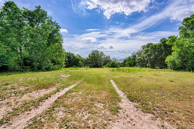 1719 SW 170th St, Newberry, FL 32669 - photo 30