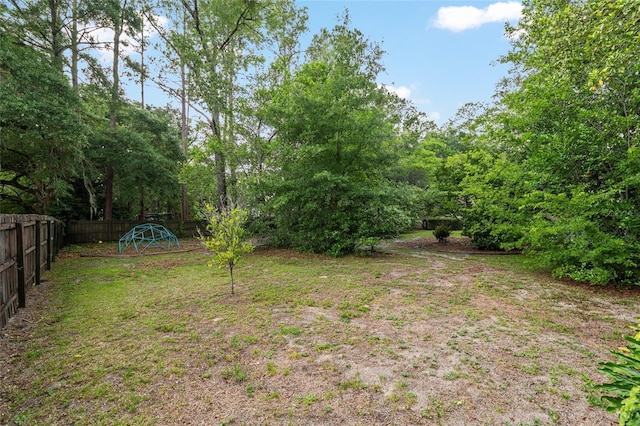 13615 SW 1st Ln, Newberry, FL 32669 - view of fenced yard