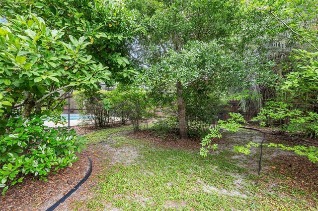 13615 SW 1st Ln, Newberry, FL 32669 - view of yard