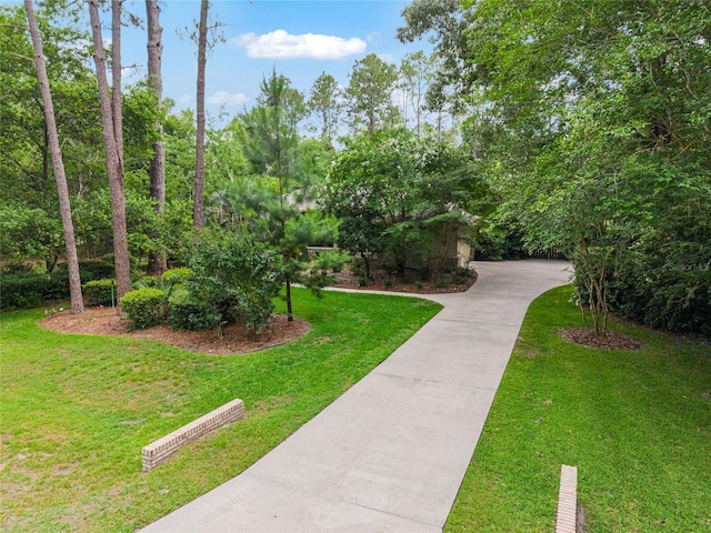 13615 SW 1st Ln, Newberry, FL 32669 - view of home's community featuring a lawn and driveway