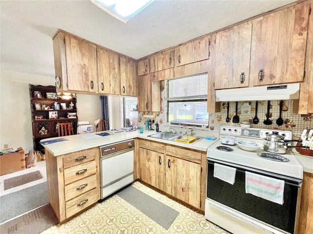 10919 NW 61st Ter, Alachua, FL 32615 - photo 3