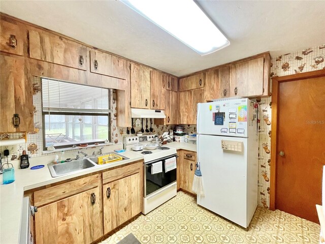 10919 NW 61st Ter, Alachua, FL 32615 - photo 4