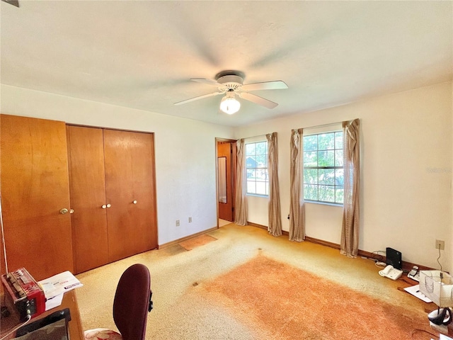 10919 NW 61st Ter, Alachua, FL 32615 - photo 9