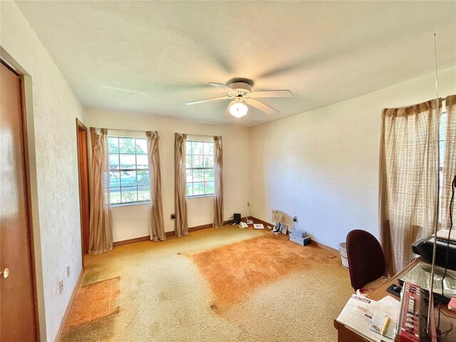 10919 NW 61st Ter, Alachua, FL 32615 - photo 10