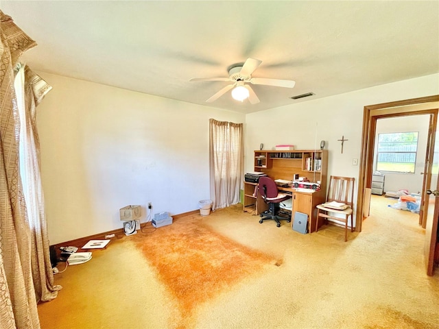10919 NW 61st Ter, Alachua, FL 32615 - photo 12