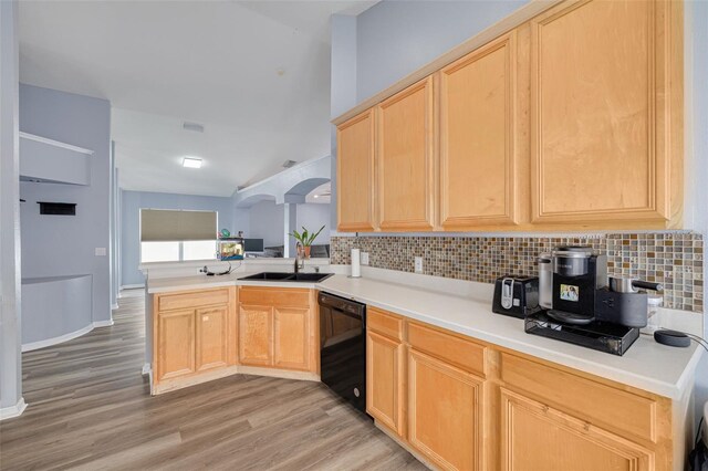 18941 Twinberry Dr, Tampa, FL 33647 - photo 13