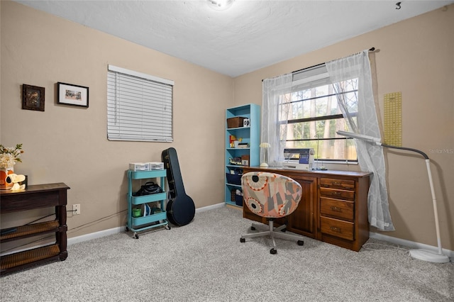 4510 NW 27th Ter, Gainesville, FL 32605 - office featuring baseboards and carpet