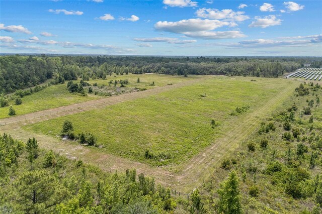81 Cloud Ave, Palatka, FL 32177 - photo 3