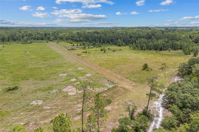 81 Cloud Ave, Palatka, FL 32177 - photo 4