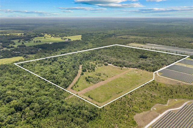 81 Cloud Ave, Palatka, FL 32177 - photo 8