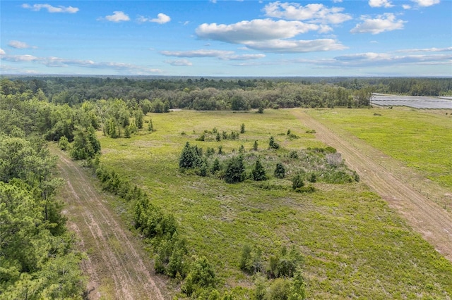 81 Cloud Ave, Palatka, FL 32177 - photo 2