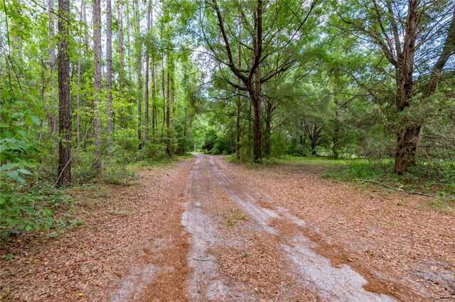 23227 W Newberry Rd, Newberry, FL 32669 - photo 25