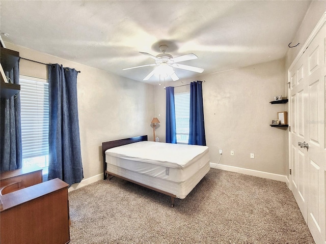 2951 SW 35th Pl Unit 148, Gainesville, FL 32608 - bedroom featuring carpet, multiple windows, and baseboards