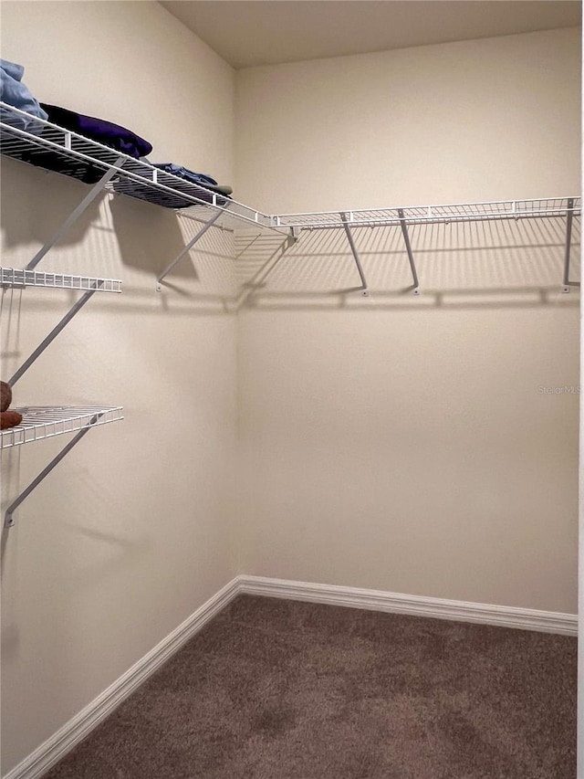 19140 NW 164th Pl, High Springs, FL 32643 - spacious closet with carpet floors
