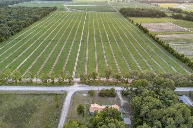 6025 SW 250th St, Newberry, FL 32669 - photo 3