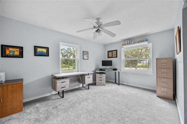 6025 SW 250th St, Newberry, FL 32669 - photo 25