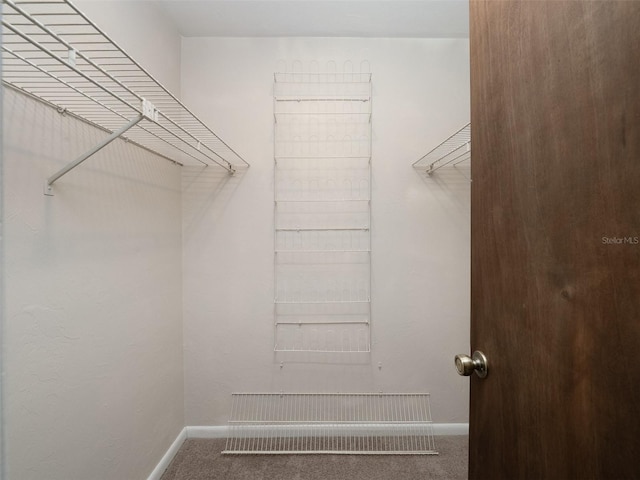 3703 NW 107th Ter, Gainesville, FL 32606 - walk in closet with carpet floors