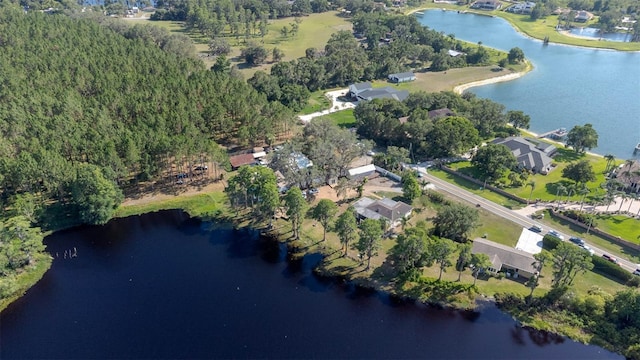 18101 Boy Scout Rd, Odessa, FL 33556 - aerial view of property and surrounding area featuring a large body of water