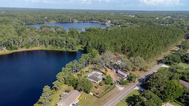 18101 Boy Scout Rd, Odessa, FL 33556 - view of property location with a heavily wooded area and a nearby body of water