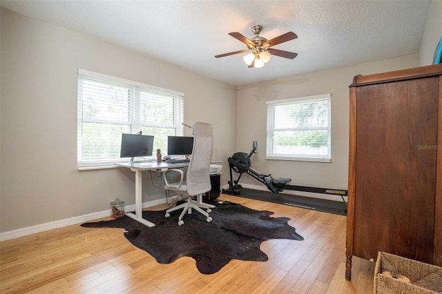 18101 Boy Scout Rd, Odessa, FL 33556 - home office featuring ceiling fan, light wood-style flooring, and baseboards