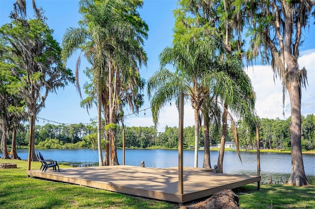 18101 Boy Scout Rd, Odessa, FL 33556 - water view