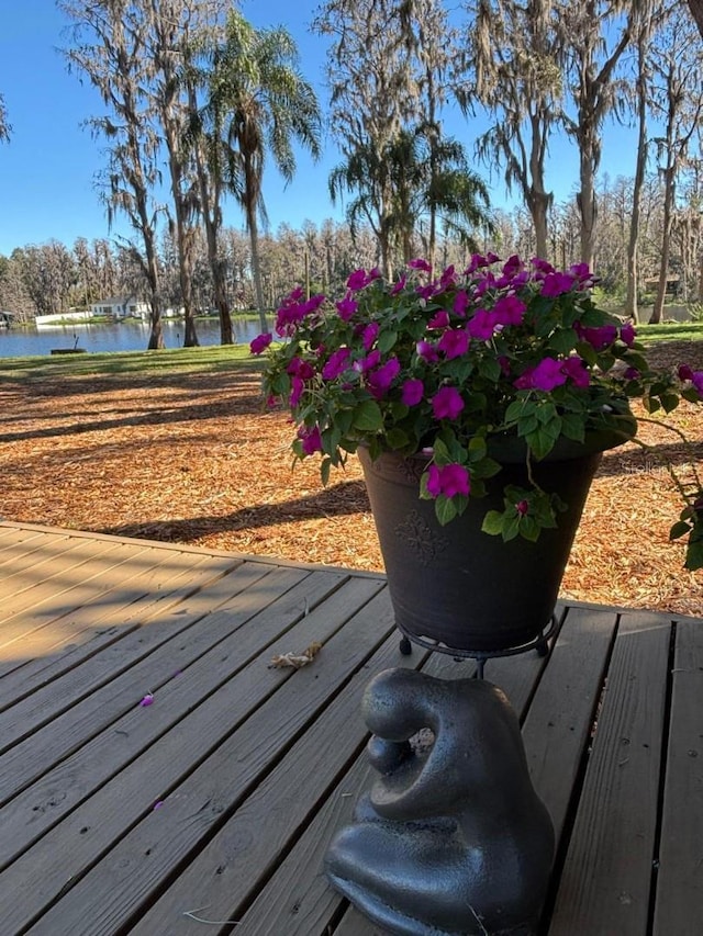 18101 Boy Scout Rd, Odessa, FL 33556 - wooden terrace featuring a water view and view of scattered trees