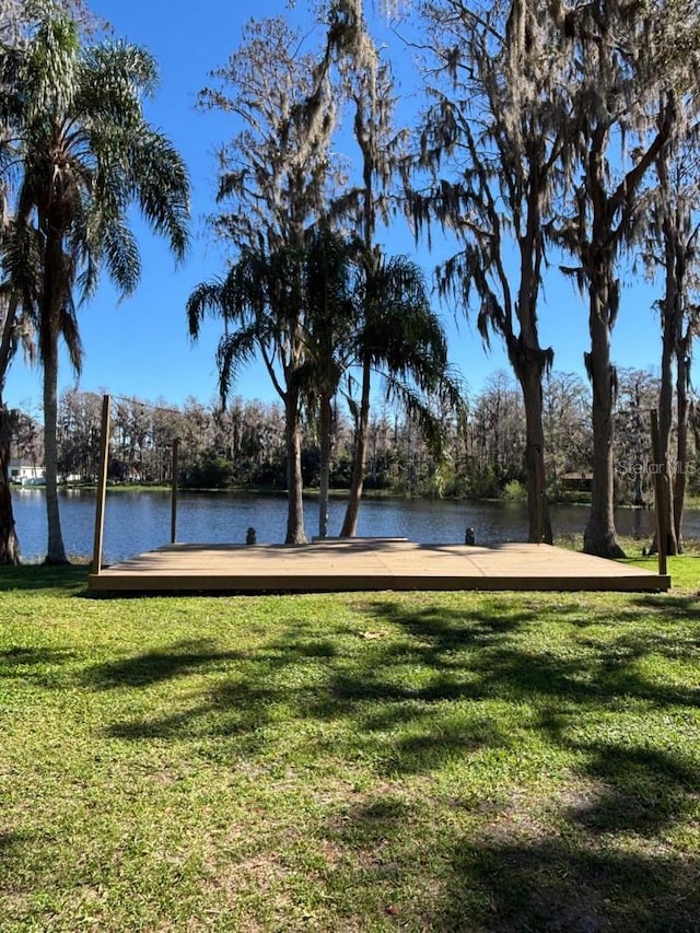 18101 Boy Scout Rd, Odessa, FL 33556 - view of community with a lawn, a dock, and a water view