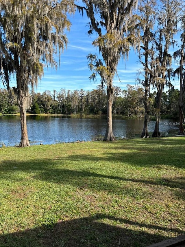 18101 Boy Scout Rd, Odessa, FL 33556 - water view