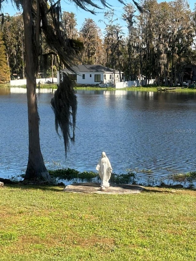 18101 Boy Scout Rd, Odessa, FL 33556 - water view