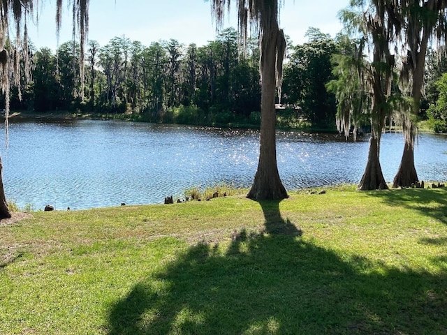 18101 Boy Scout Rd, Odessa, FL 33556 - water view featuring a heavily wooded area