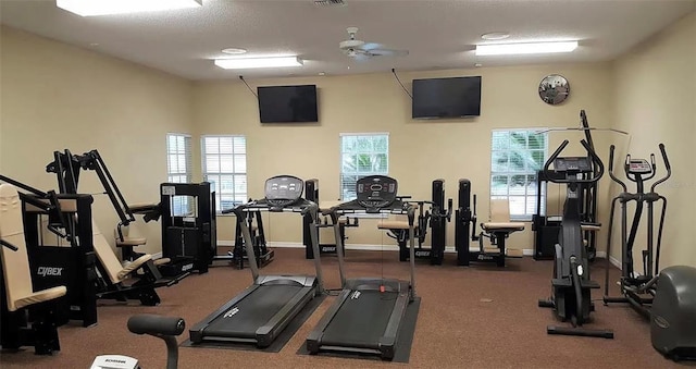 10000 SW 52nd Ave Unit 120, Gainesville, FL 32608 - exercise room featuring baseboards