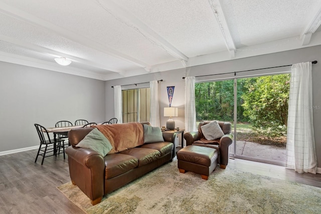 507 NW 39th Rd Unit 154, Gainesville, FL 32607 - living area featuring a textured ceiling, beamed ceiling, wood finished floors, and baseboards