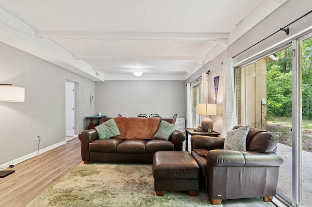 507 NW 39th Rd Unit 154, Gainesville, FL 32607 - living room featuring beamed ceiling, wood finished floors, and baseboards