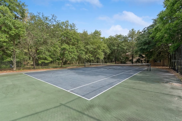 507 NW 39th Rd Unit 154, Gainesville, FL 32607 - view of tennis court