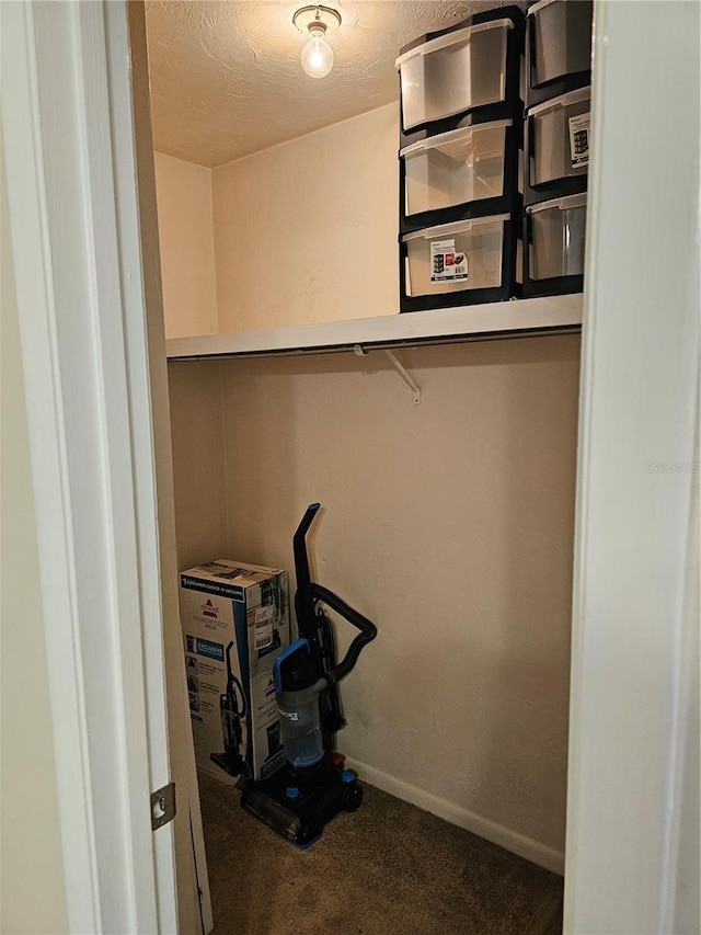 4007 SW 26th Ter Unit B, Gainesville, FL 32608 - walk in closet featuring carpet flooring