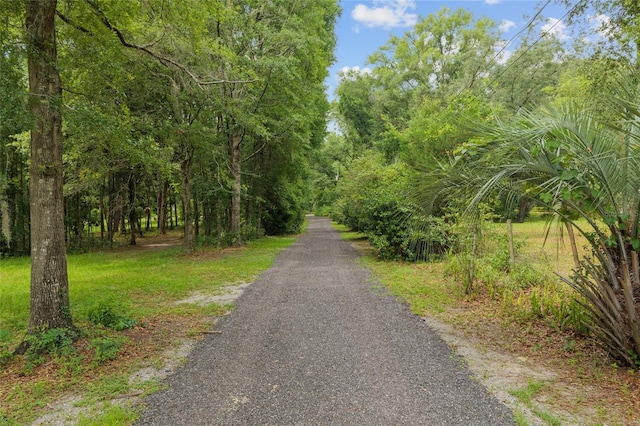 12832 SW 14th Ave, Newberry, FL 32669 - view of road