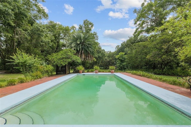 12832 SW 14th Ave, Newberry, FL 32669 - view of swimming pool