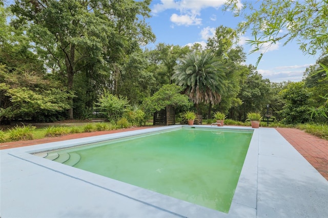 12832 SW 14th Ave, Newberry, FL 32669 - view of swimming pool featuring view of wooded area