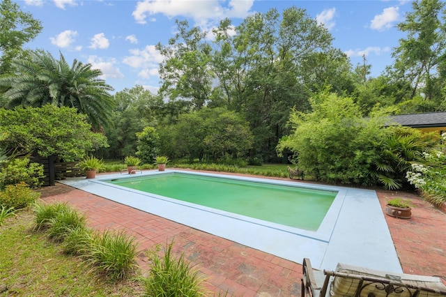 12832 SW 14th Ave, Newberry, FL 32669 - view of outdoor pool