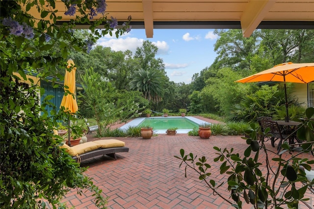12832 SW 14th Ave, Newberry, FL 32669 - view of patio featuring an outdoor pool