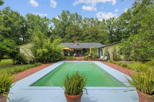 12832 SW 14th Ave, Newberry, FL 32669 - outdoor pool featuring a patio area