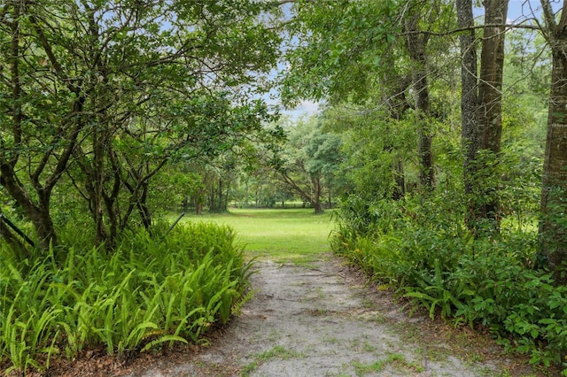 12832 SW 14th Ave, Newberry, FL 32669 - surrounding community featuring a lawn and a forest view