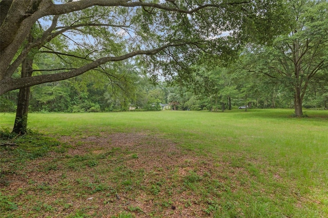 12832 SW 14th Ave, Newberry, FL 32669 - view of green lawn with a wooded view