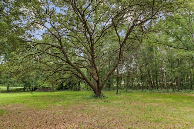 12832 SW 14th Ave, Newberry, FL 32669 - view of yard with a view of trees