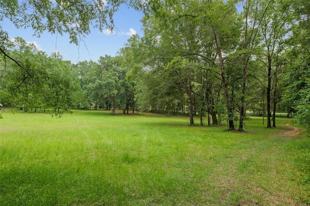 12832 SW 14th Ave, Newberry, FL 32669 - view of yard